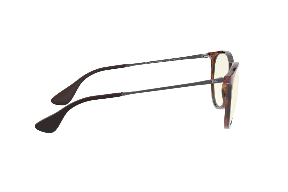 Ray-Ban Erika